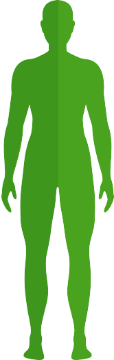 body img