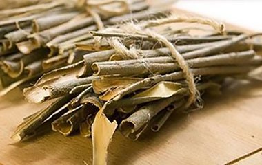 Зберіть лікувальну кору