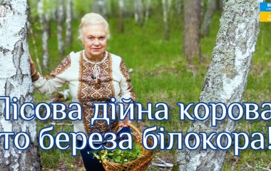 Відео 1 - фото